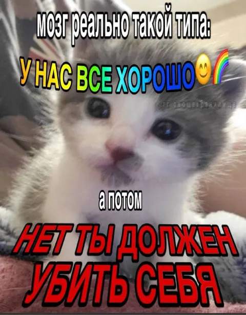 У нас всё хорошо, а потом