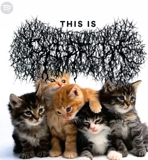 This Is Cat Chaos