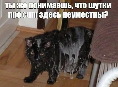 Шутки про cum неуместны