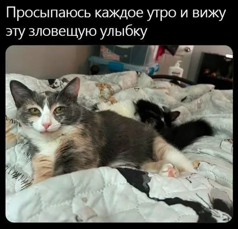Зловещая утренняя улыбка