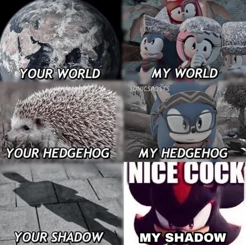 Your Hedgehog My Hedgehog