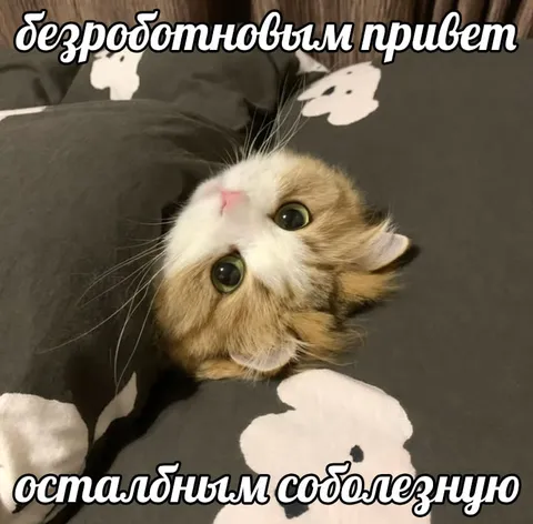 Безработным привет, остальным соболезную