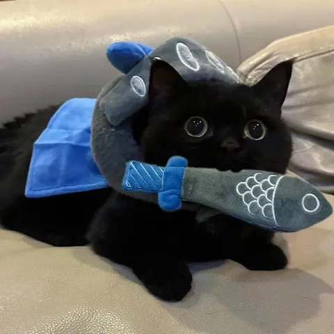 Чёрный кот с игрушечной рыбой