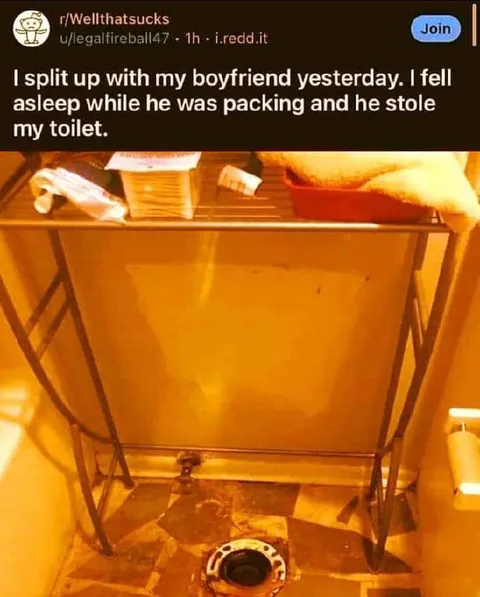 Boyfriend Stole the Toilet