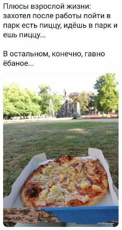 Плюсы взрослой жизни с пиццей