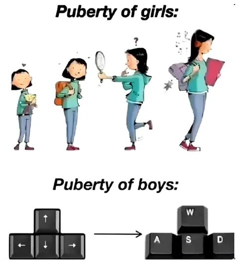 Puberty of Girls vs Boys