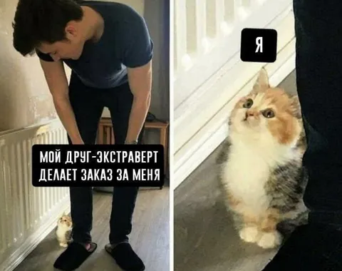 Друг-экстраверт делает заказ