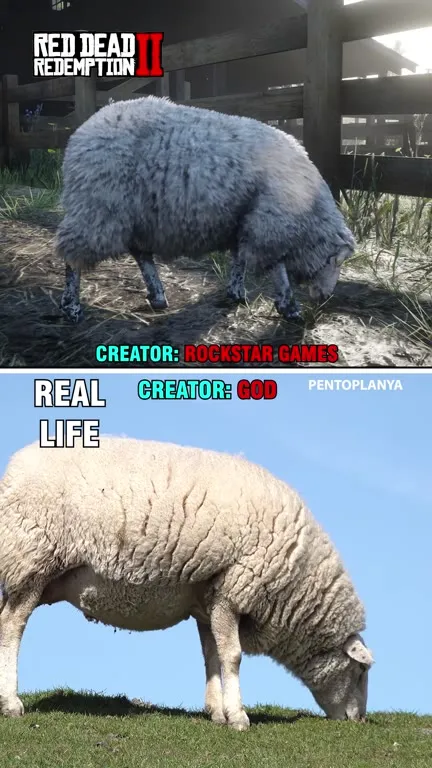 Rockstar Sheep vs Real Life