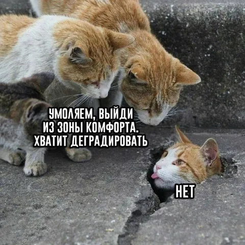 Выйди из зоны комфорта
