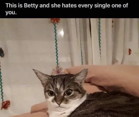 Betty Hates Every One of You