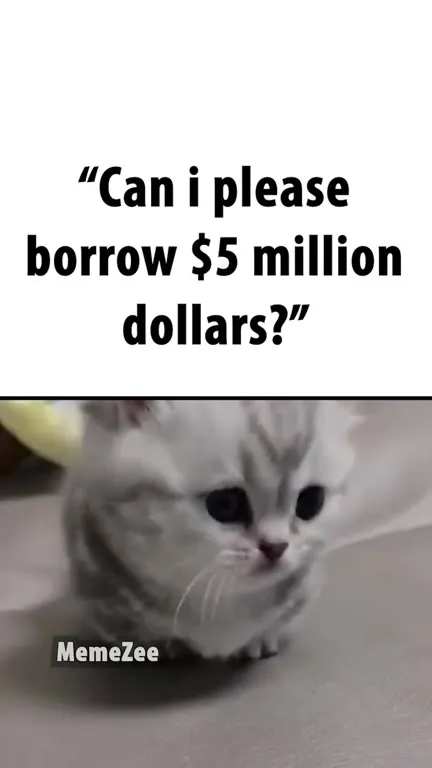 Kitten Asking for Five Million