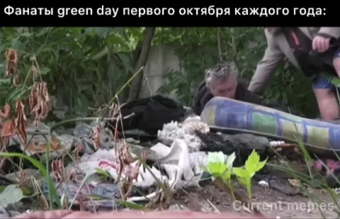 Фанаты Green Day первого октября