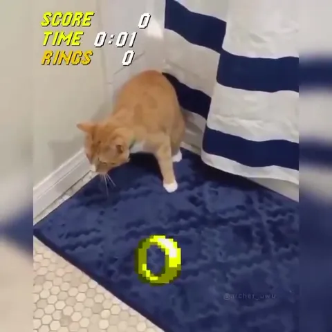 Cat Collects the Sonic Ring