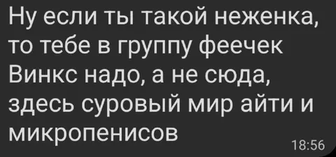 Суровый мир айти и микропенисосов