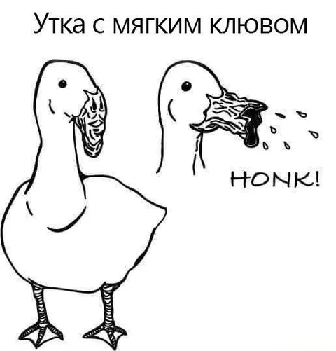 Утка с мягким клювом