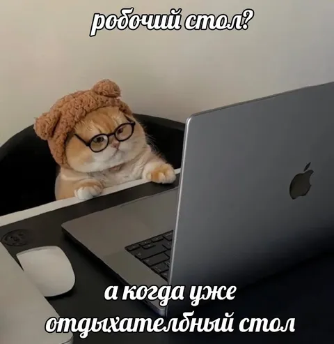 Кот за рабочим столом