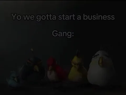 Angry Birds Startup Team