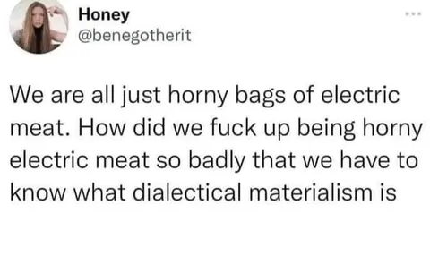 Horny Bags of Electric Meat