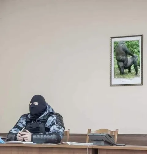 Боец в маске и горилла