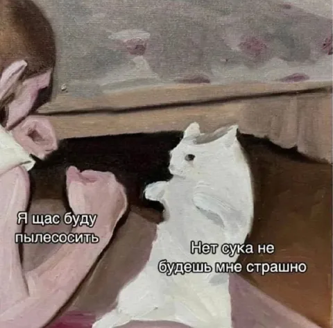 Я сейчас буду пылесосить