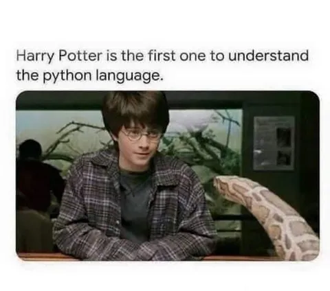 Harry Potter Understands Python