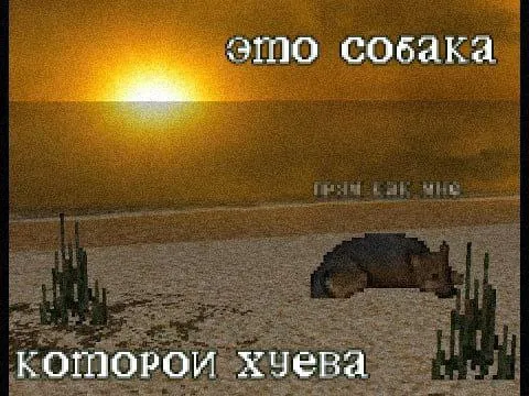 Собака, которой хуева