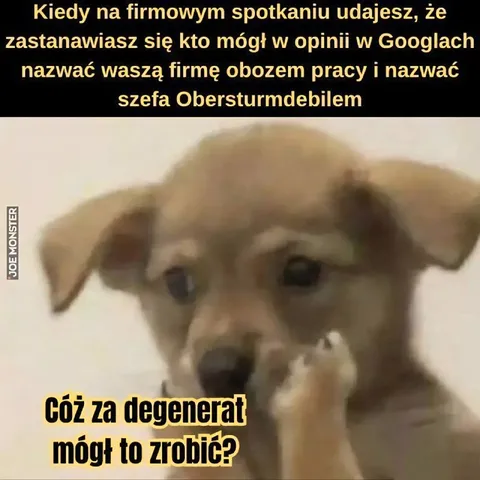 Pies udaje niewinnego na spotkaniu