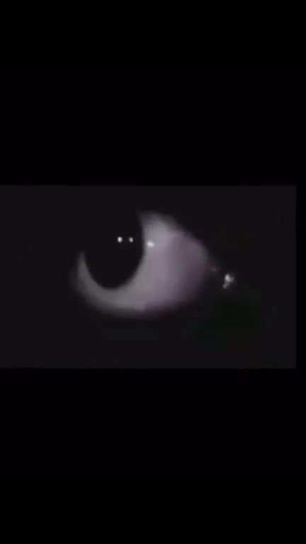 Have You Seen This Man?