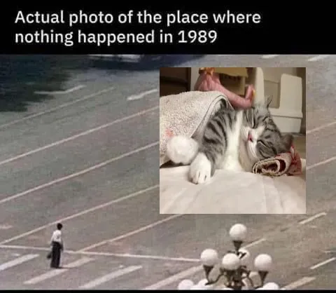 Nothing Happened in 1989