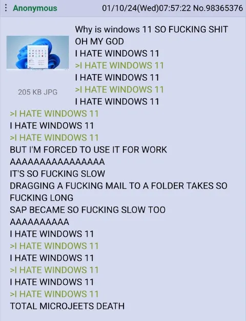 I Hate Windows 11
