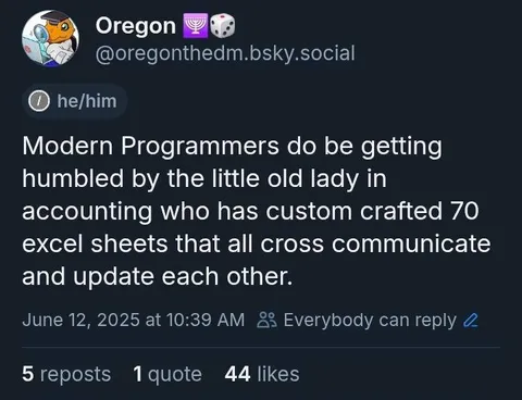 Accounting Lady Beats Programmers