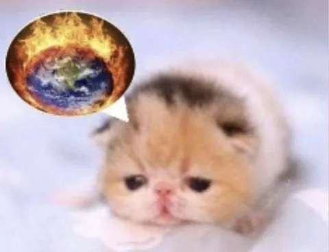 Котёнок переживает за Землю