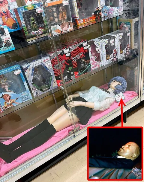 ショーケースの美少女フィギュア