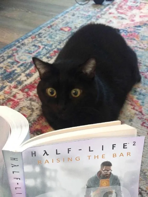 Кот читает Half-Life