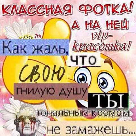 Классная фотка с гнилой душой