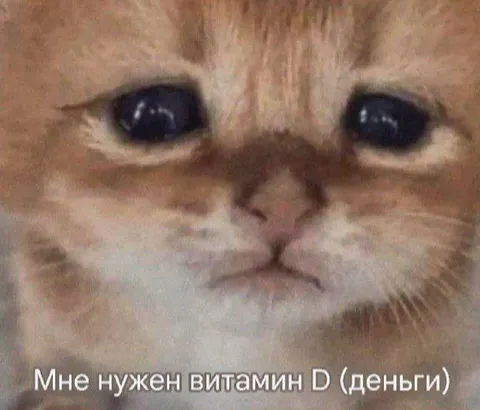 Коту нужен витамин D