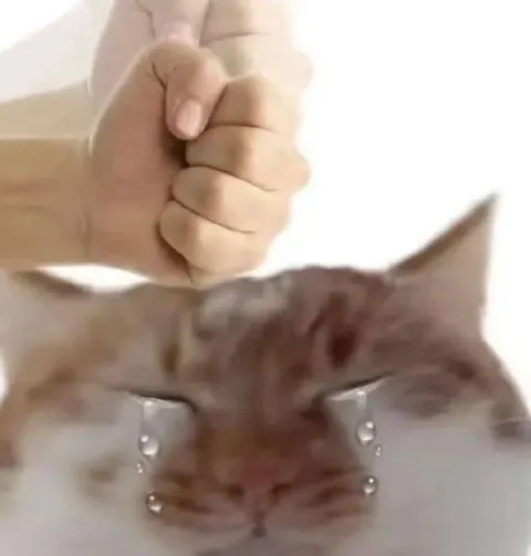 Плачущий кот под угрозой