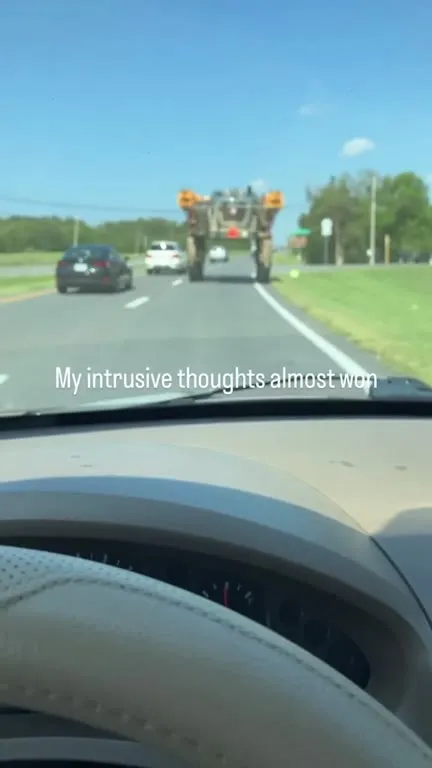 My Intrusive Thoughts Almost Won