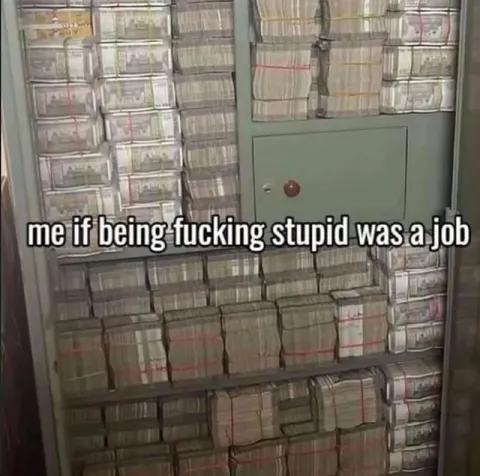 If Being Stupid Was a Job