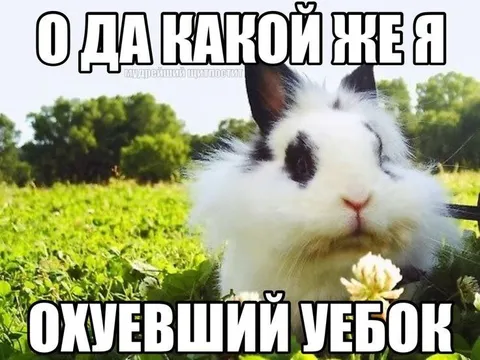 Какой же я охуевший ублюдок