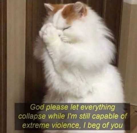 Praying Cat Before Everything Collapses