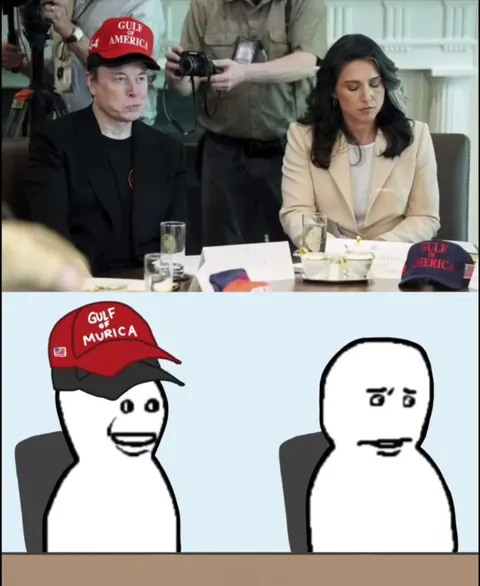 Gulf of Murica Reaction