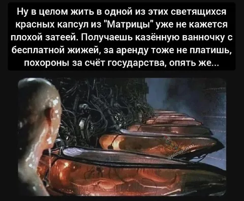 Жизнь в красной капсуле