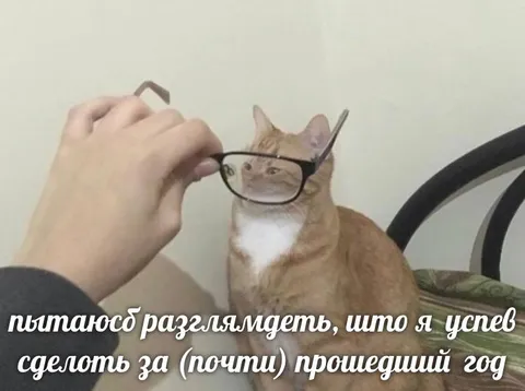 Кот в очках подводит итоги года
