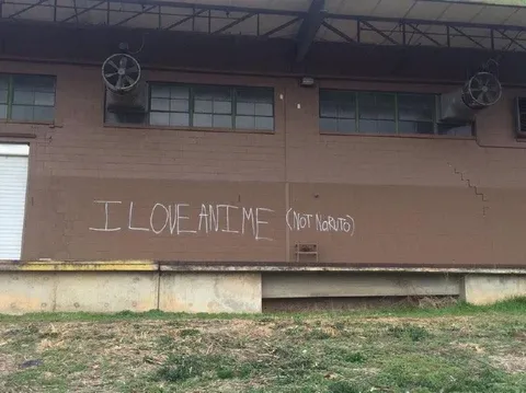 I Love Anime Not Naruto
