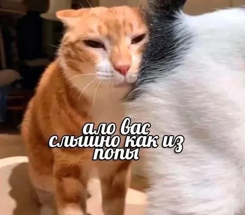 Слышно как из попы