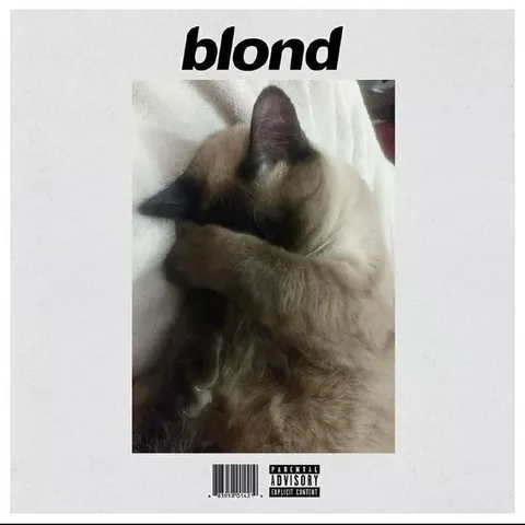 Blond Cat Album Cover