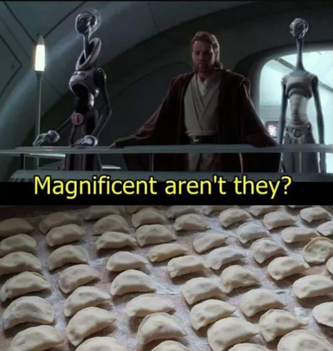 Magnificent Aren't They Dumplings