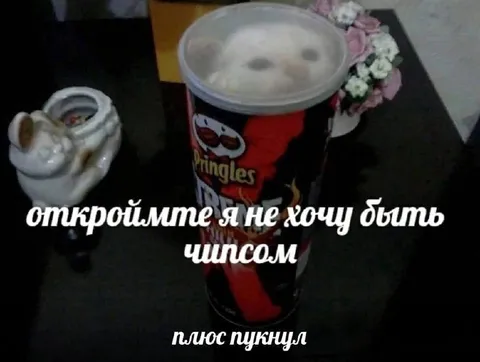 Я не хочу быть чипсом