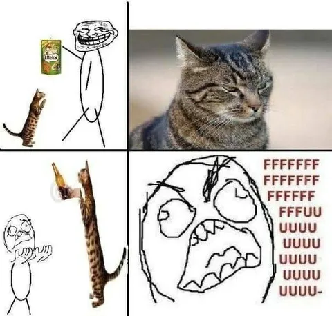 Кот не получил KitKat